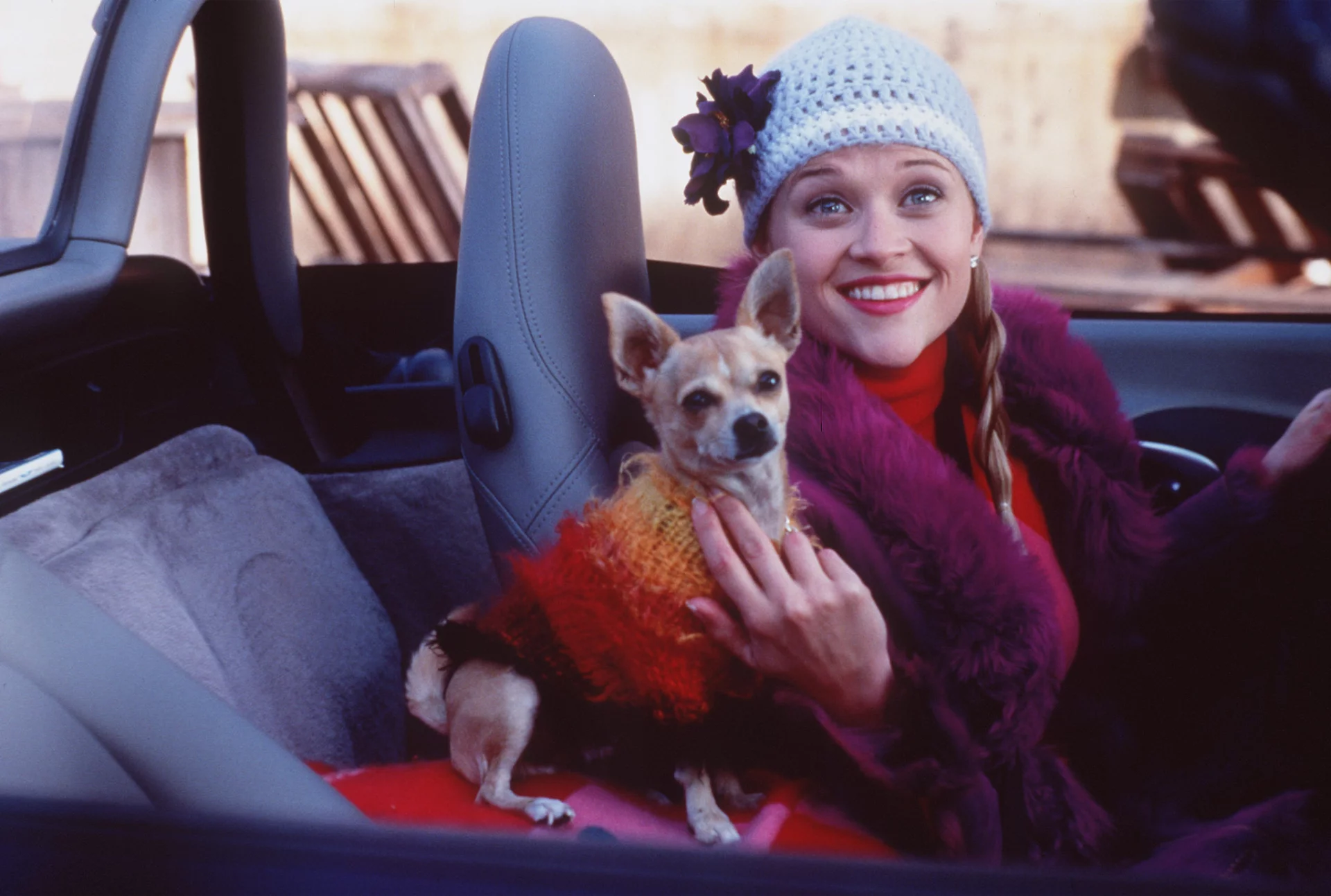 „Legalna blondynka” (2001) i bohaterka filmu Elle Woods, klasyczna miła dziewczyna