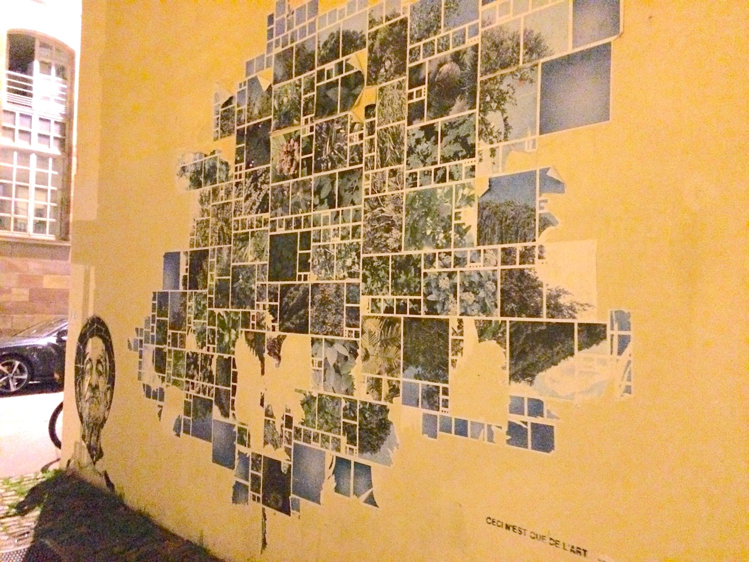 Strasburg, 2016