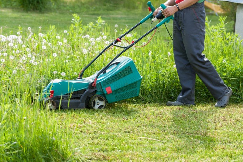 Koszenie trawy w maju to kiepski pomysł