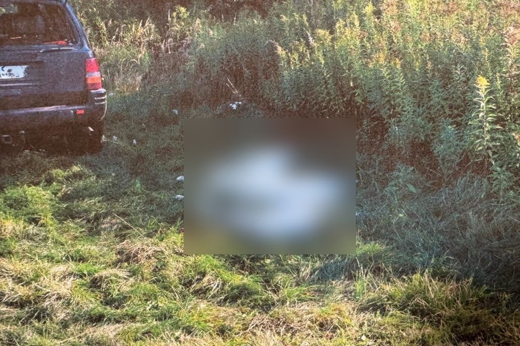 Kolejny "popis" myśliwych. Nie do wiary, jakie zwierzęta zabili