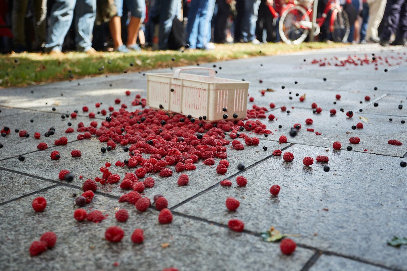 Plantatorzy malin z Lubelszczyzny są wściekli na niskie ceny skupu i import m.in. z Ukrainy. Ostatnio protestowali w 2018 roku.