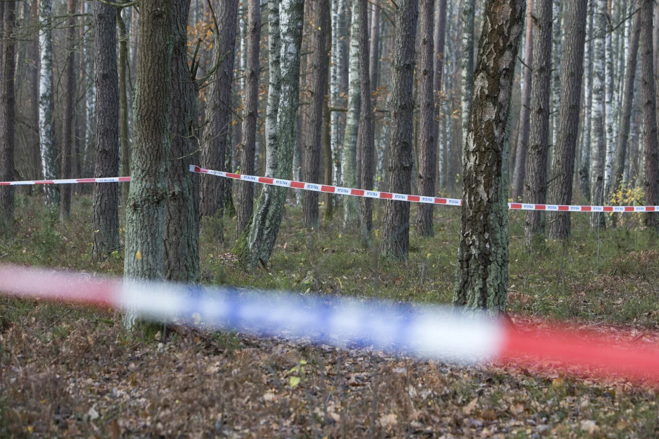 Makabryczne odkrycie w lesie koło Hajnówki. Odnaleziono zwłoki kobiety.