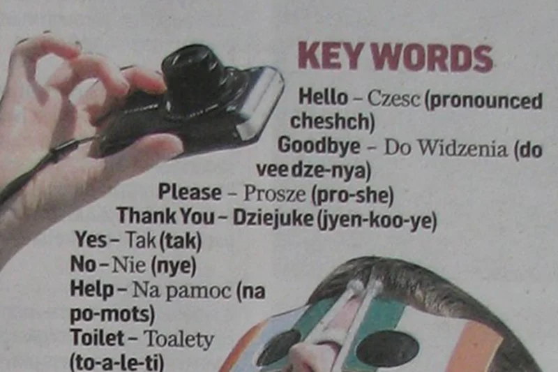 Fragment opisywanego artykułu
