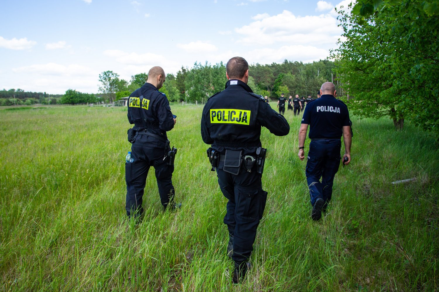 Na polu w Modrzejowicach znaleziono ludzkie szczątki