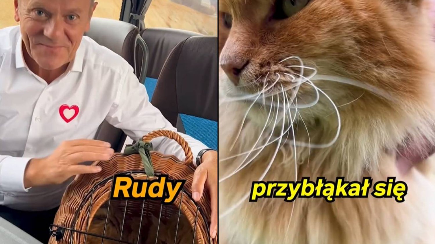 Donald Tusk przedstawił nowego pasażera Tuskobusa