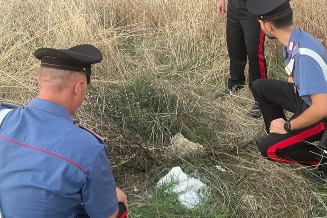 Noworodek w plastikowej torbie porzucony na polu. Znalazł go rolnik