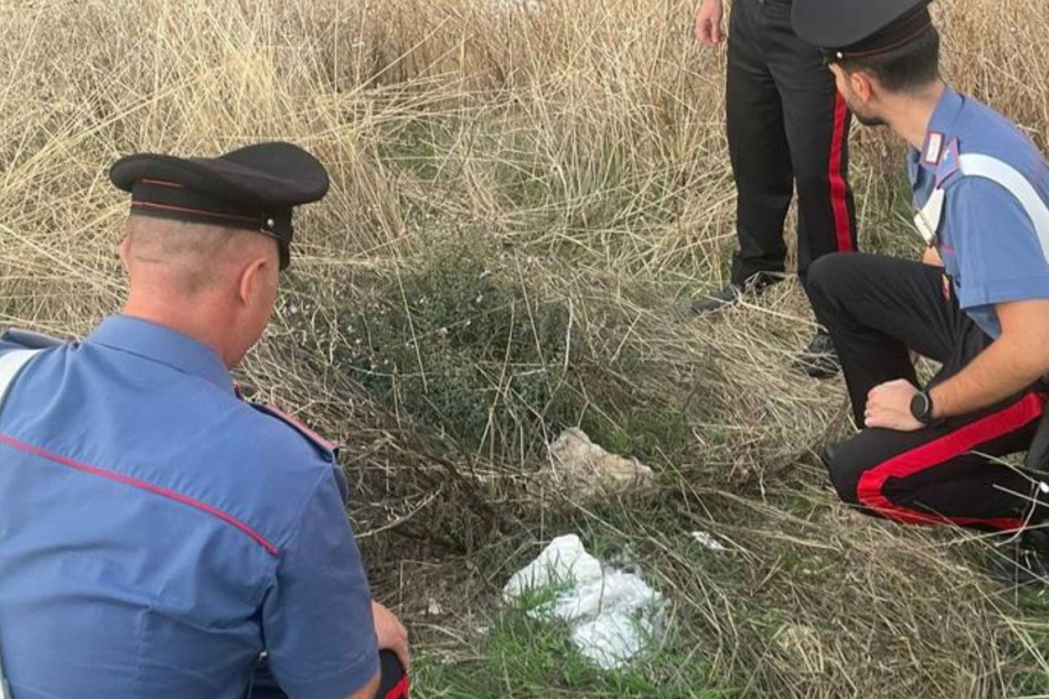 Noworodek w plastikowej torbie porzucony na polu. Znalazł go rolnik