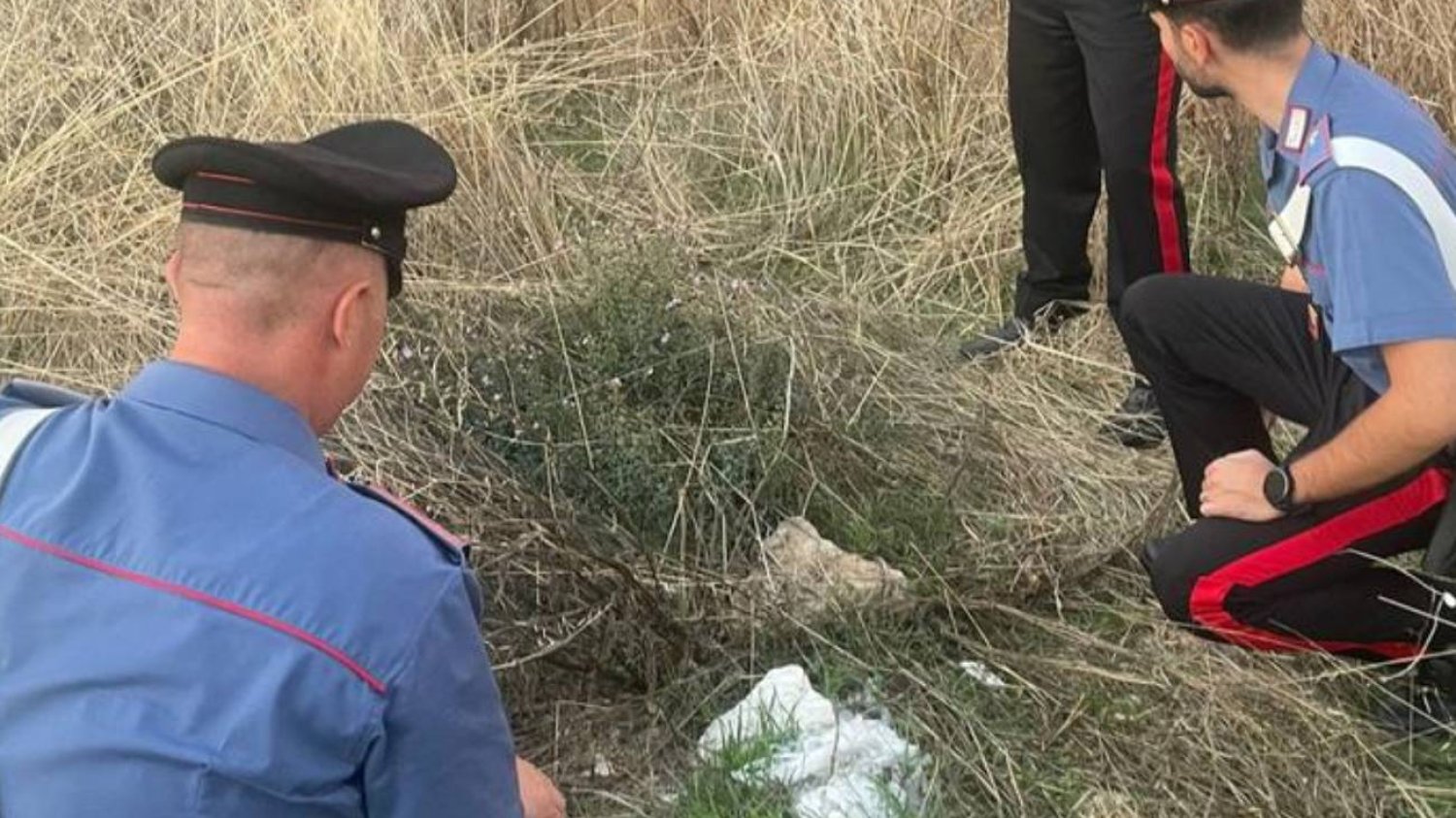 Noworodek w plastikowej torbie porzucony na polu. Znalazł go rolnik