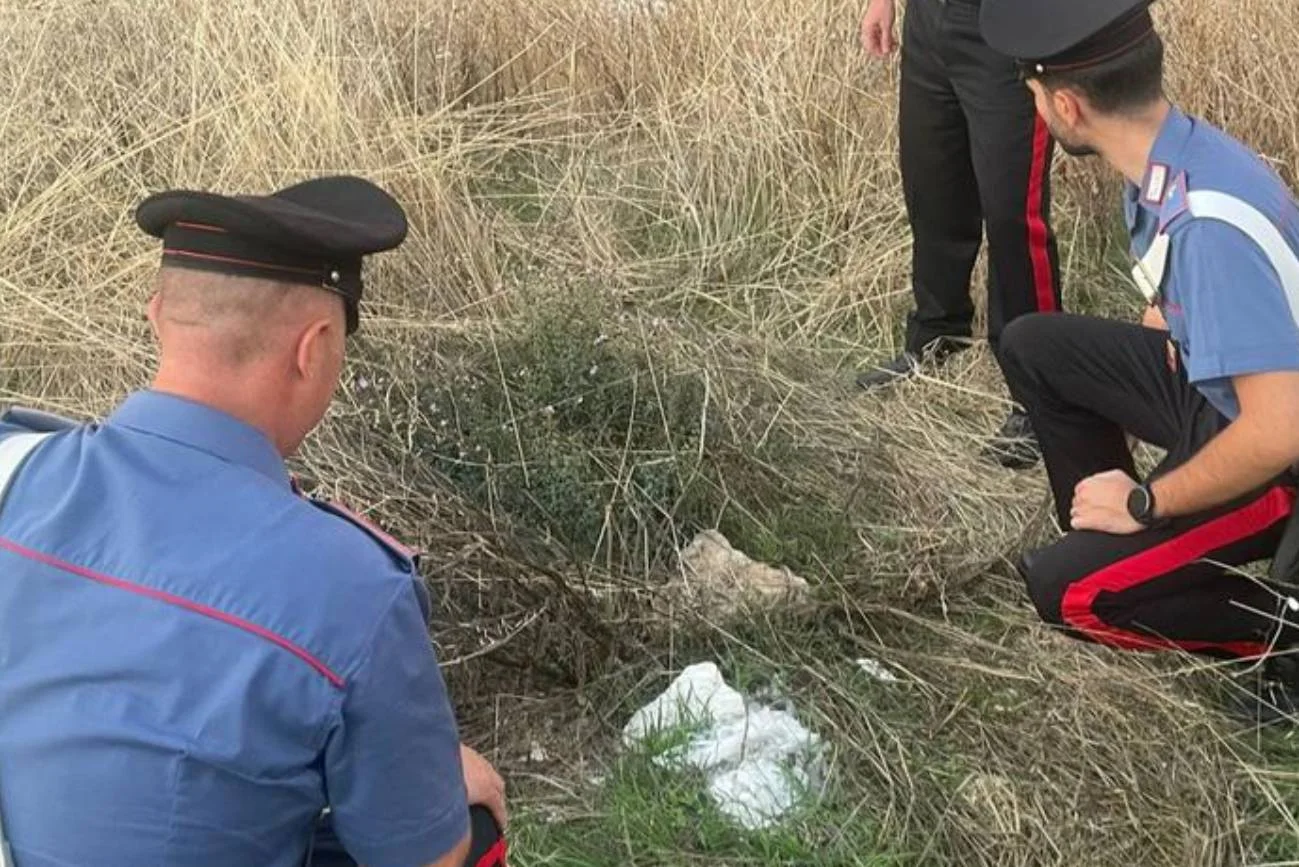 Noworodek w plastikowej torbie porzucony na polu. Znalazł go rolnik