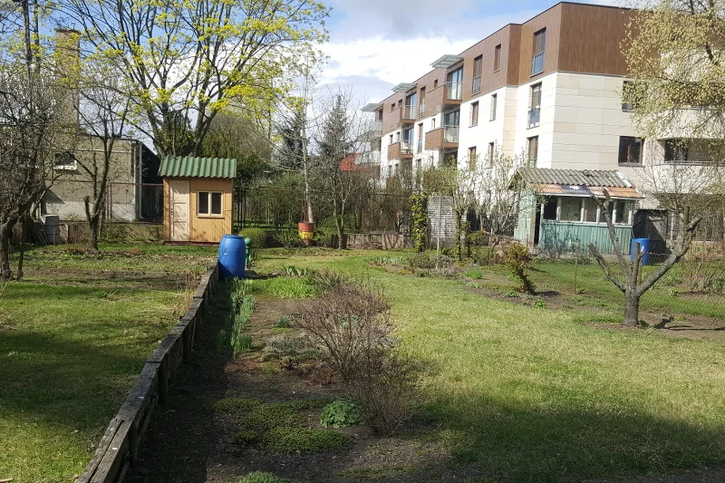Działkowcy otoczeni przez apartamentowce.