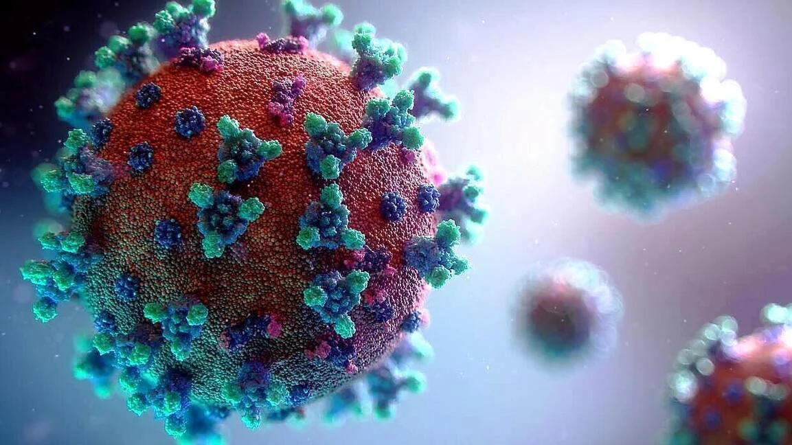 Test SalivaDirect: nowy sposób diagnozowania koronawirusa SARS-CoV-2 na podstawie próbki śliny. Przełomowy wynalazek z Uniwersytetu Yale.
