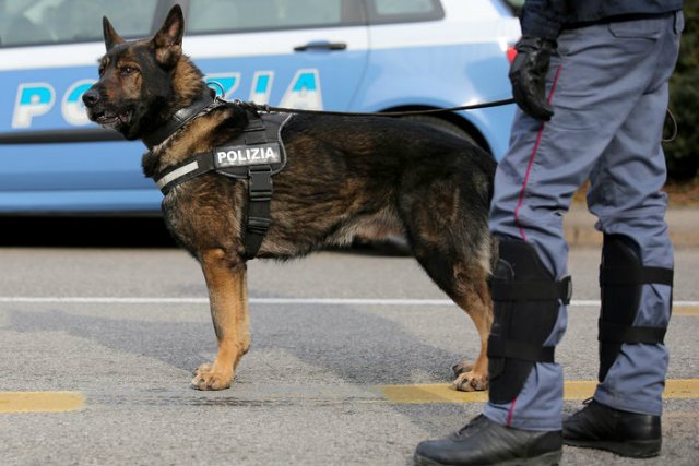 W ostatnich dniach w Mediolanie skradziono trzy furgonetki firmy przewozowej. Policja podejrzewa, że może mieć to związek z planowanym atakiem terrorystycznym.