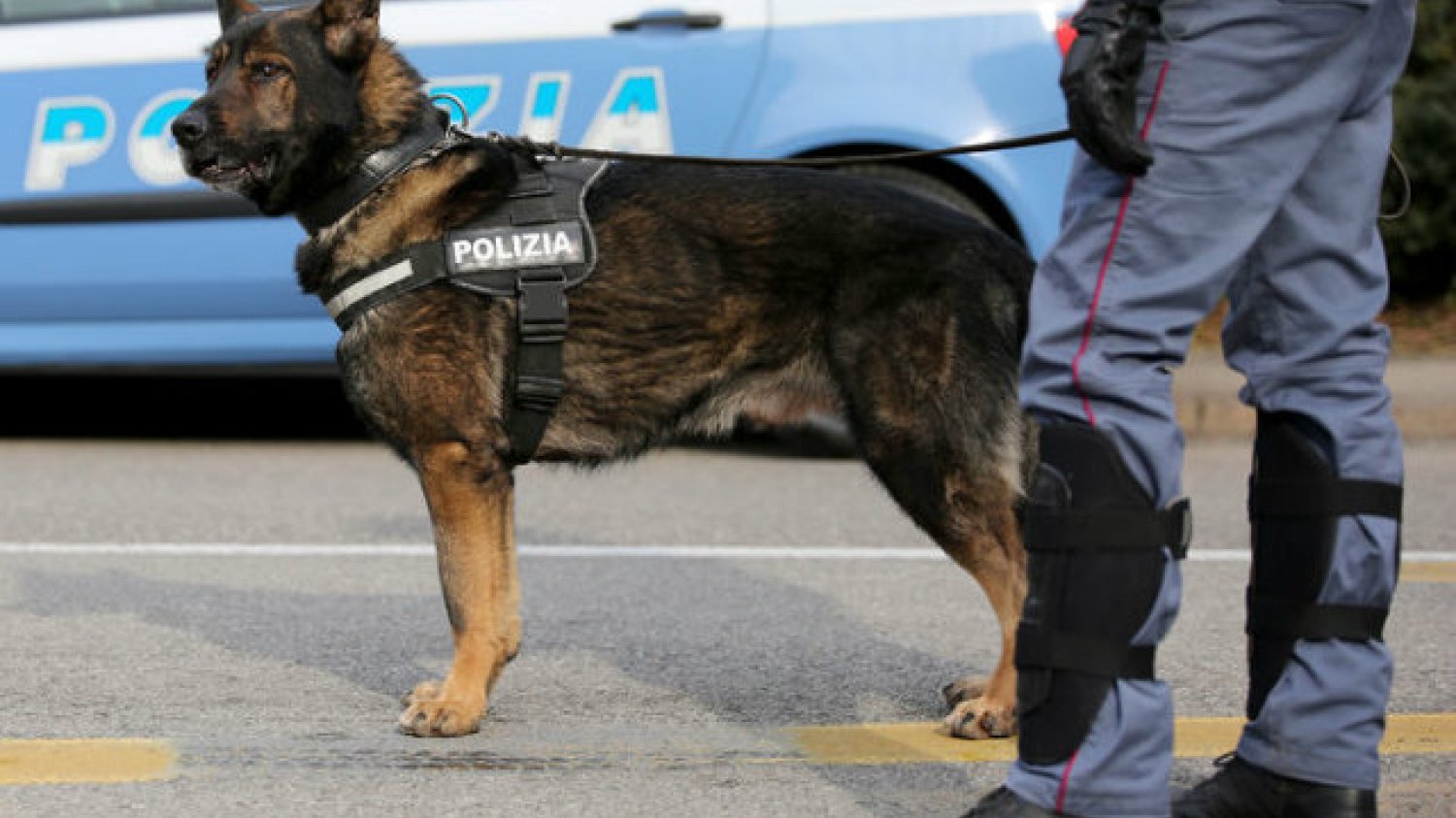 W ostatnich dniach w Mediolanie skradziono trzy furgonetki firmy przewozowej. Policja podejrzewa, że może mieć to związek z planowanym atakiem terrorystycznym.
