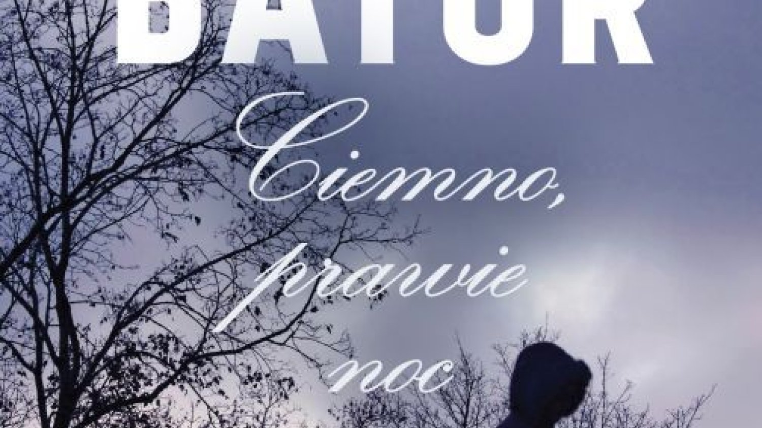 Okładka papierowej wersji "Ciemno, prawie noc"