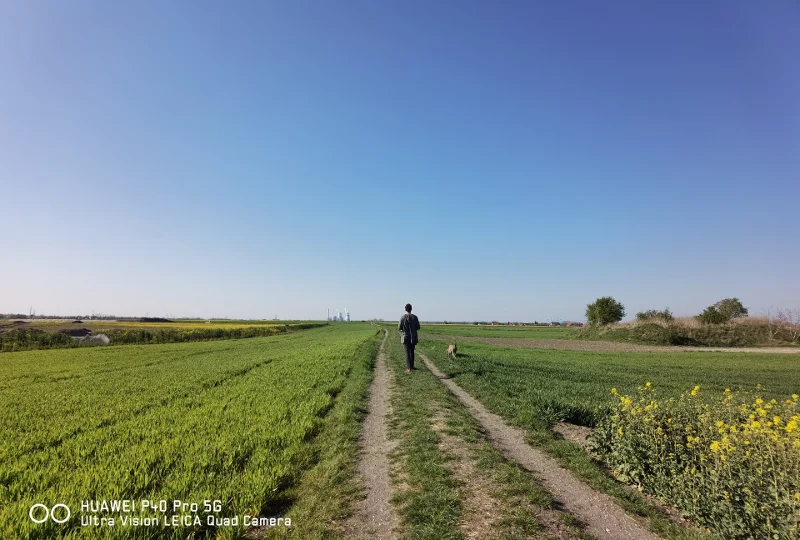 Zoom w P40 Pro robi wrażenie...