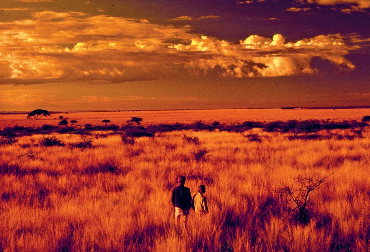 "Zew Kalahari" to obsypana deszczem nagród bestsellerowa książka, której autorami są Delia i Mark Owens. Para amerykańskich zoologów zafascynowanych afrykańską fauną napisała pamiętnik z podróży po bezdrożach nieskalanego cywilizacją miejsca na Ziemi