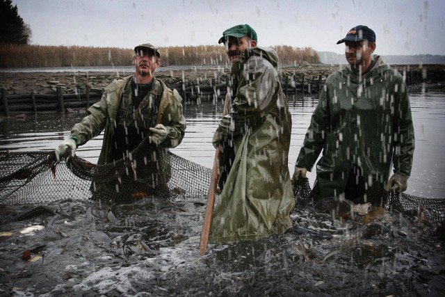 Ze sprzedaży ryb nie mieli nawet na pensje. Aż podpisali kontrakt z Lidlem.