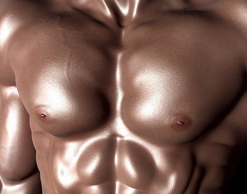 Nasze ciała to system wzajemnie powiązanych ze sobą struktur
Zdjęcia autorstwa: DrSJS / CC0 Public Domain