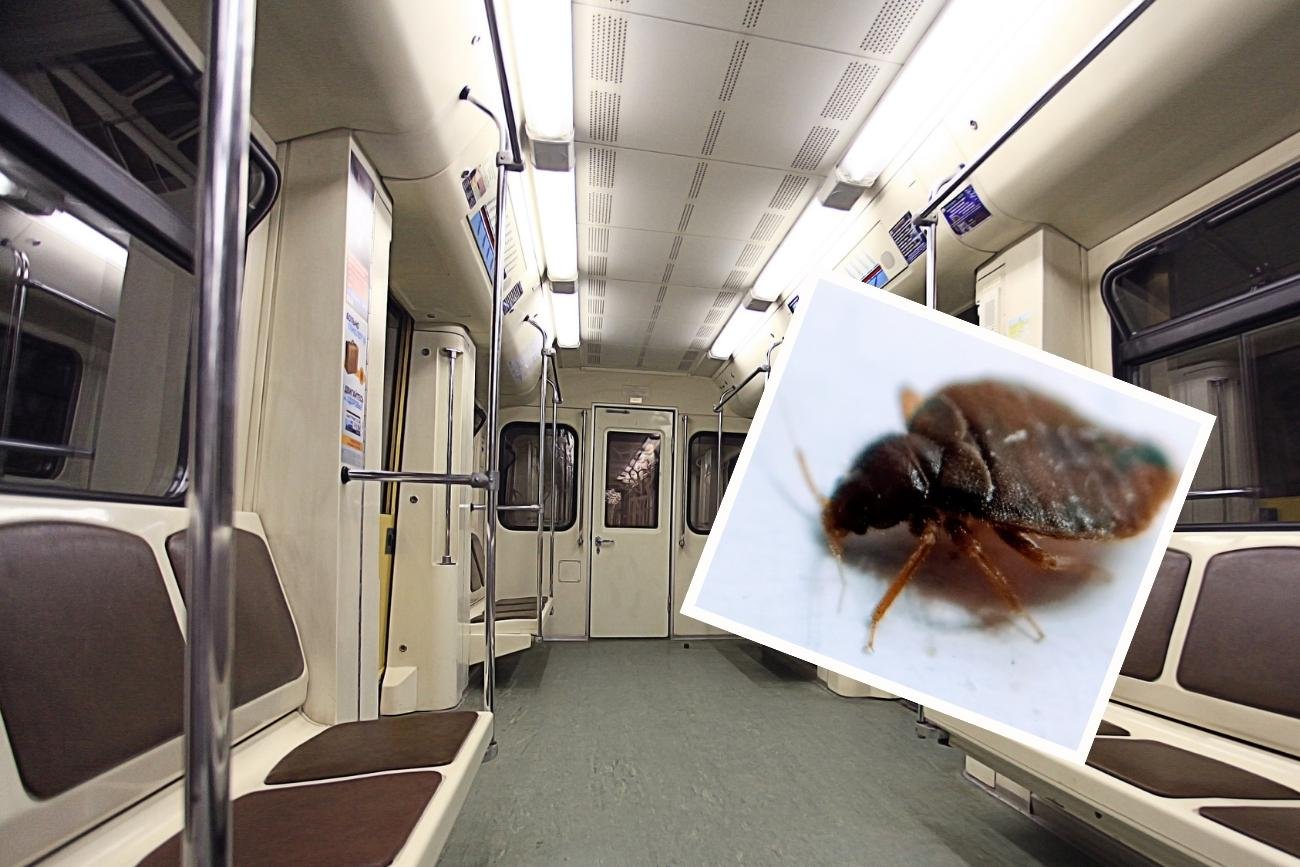 Pluskwy w paryskim metrze są spotykane coraz częściej