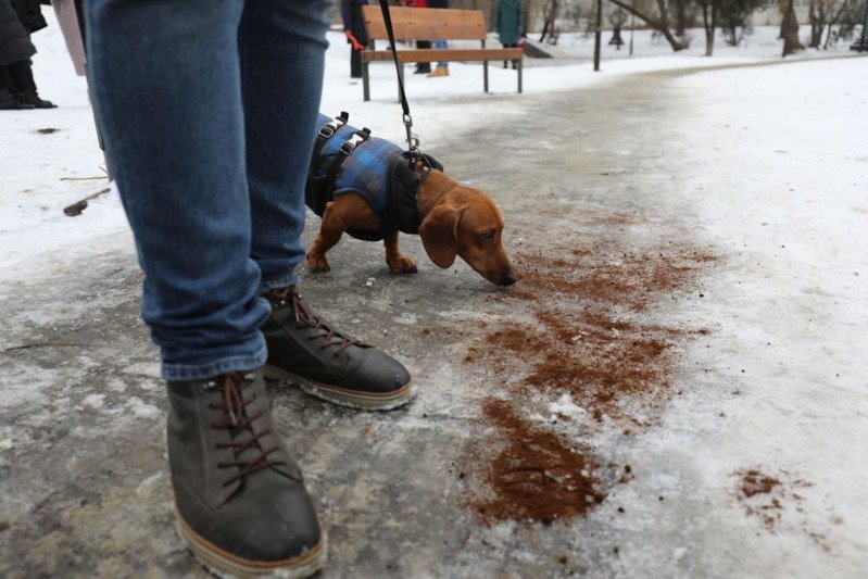 Wiceburmistrz Ursynowa planuje przetestować lwowski pomysł na oblodzone drogi.