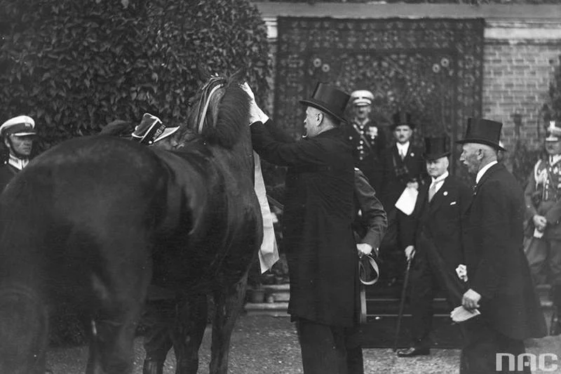 Rok 1933. Prezes Towarzystwa Zachęty do Hodowli Koni w Polsce hrabia Michał Komorowski dekoruje wstęga konia Wisusa, który w gonitwie uzyskał najlepszy czas.