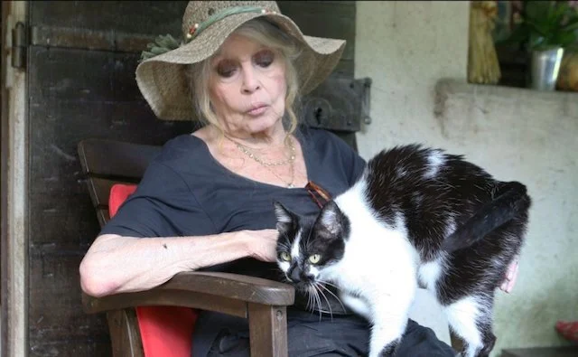 Brigitte Bardot w wieku 80 lat