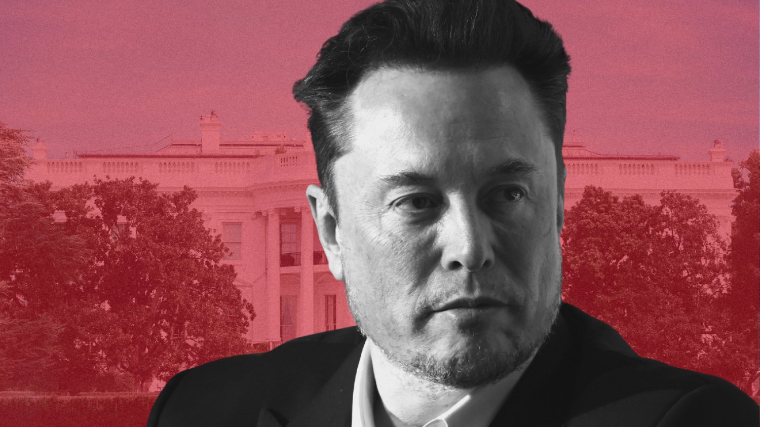 Elon Musk pobił się z sekretarzem stanu, twierdzi Donald Trump Elon Musk pobił się z sekretarzem stanu, twierdzi Donald Trump