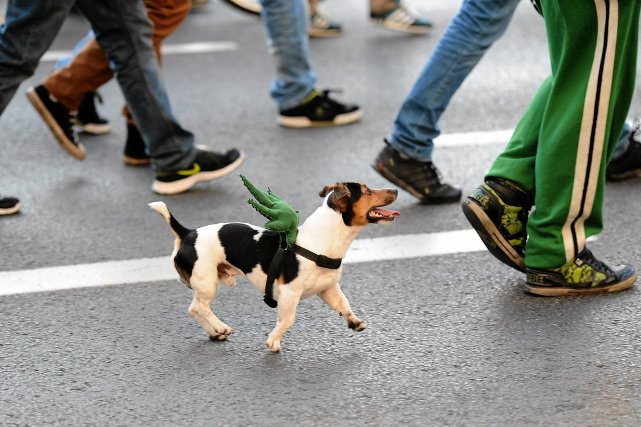 Manifestacja zwolenników legalizacji marihuany we Wrocławiu. A jak to było z marihuaną w przeszłości?