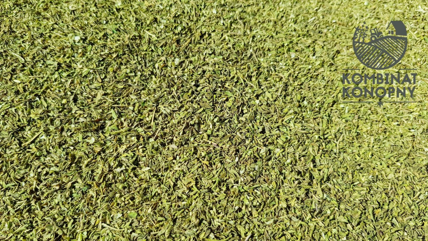 Dobrej jakości susz konopny wcale nie musi mieć formy całych szczytów