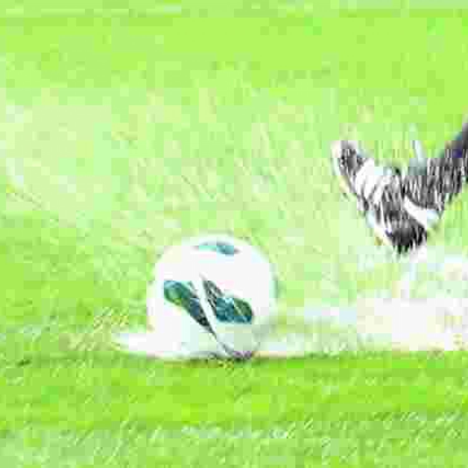 Mecz Polska - Anglia