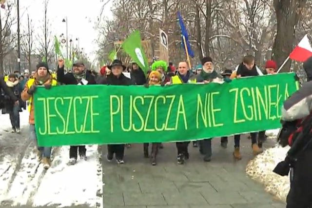 Warszawski "Marsz entów" zgromadził ok. tysiąca osób protestujących przeciwko wycince drzew w Puszczy Białowieskiej.