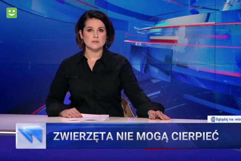 "Ziobro nie istnieje. Przynajmniej w "Wiadomościach" TVP" - analizuje "Wyborcza".