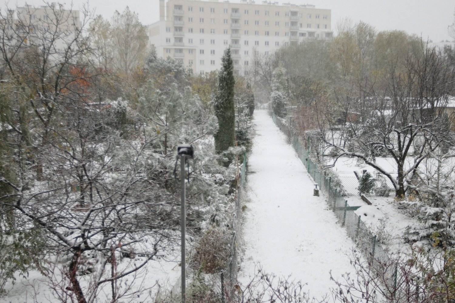 W środę należy spodziewać się deszczu i śniegu.