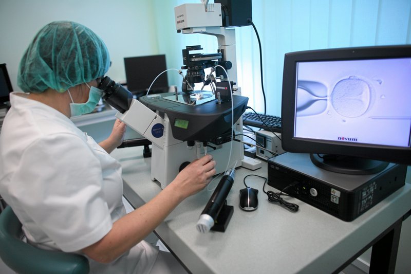 Lekarz pracuje przy zapłodnieniu komórki jajowej