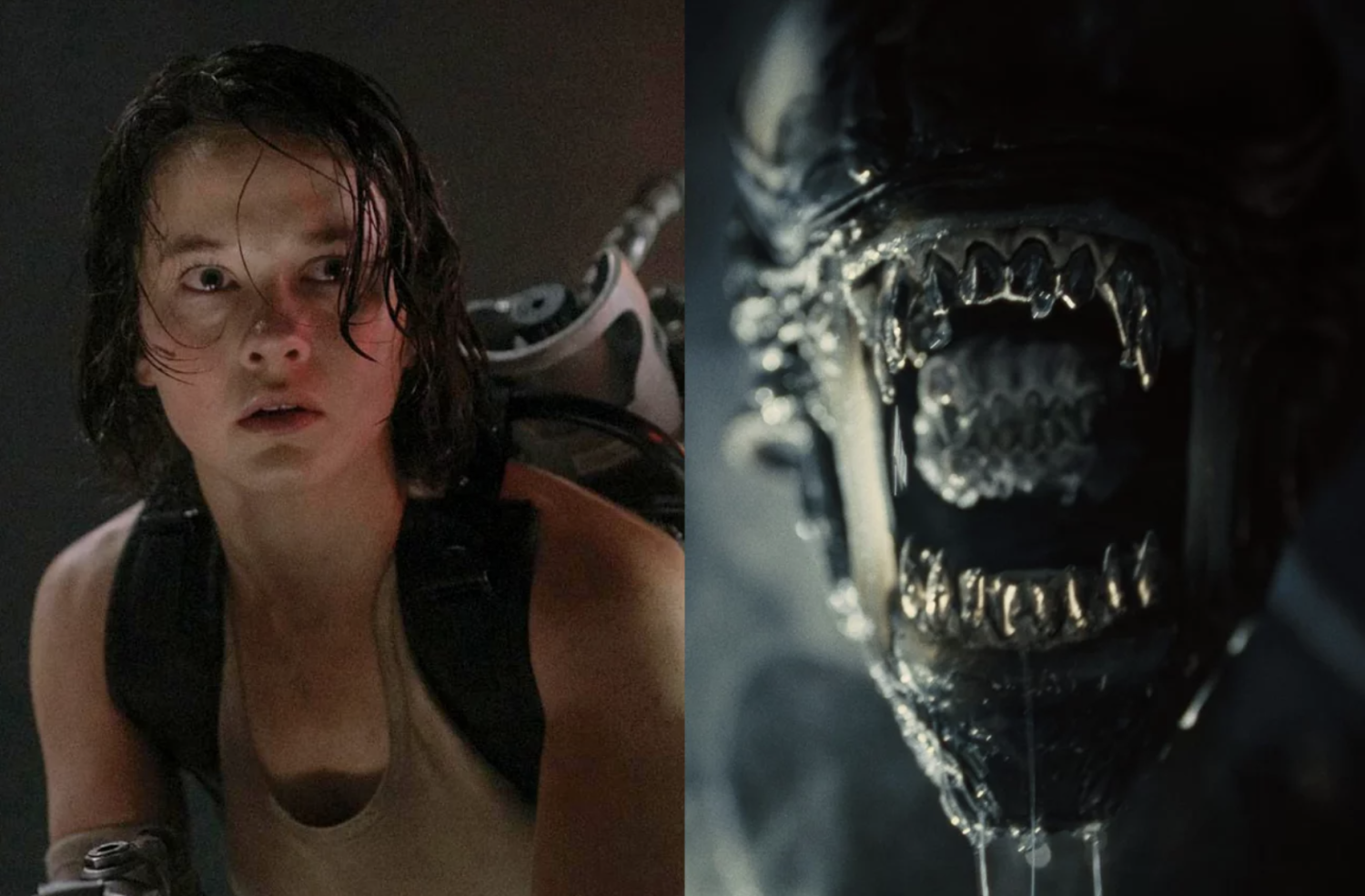 "Obcy" to kultowa seria