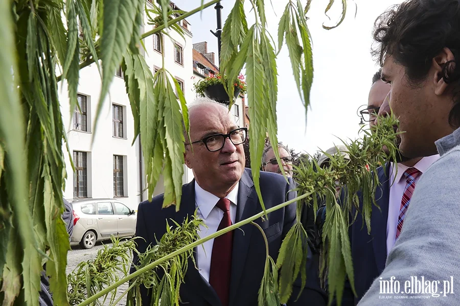 Panie Włodku, Pan się nie boi!