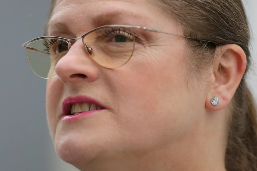 Krystyna Pawłowicz rozszyfrowała nazwy ugrupowań startujących w wyborach samorządowych. Jej zdaniem są to te same złodziejskie układy, które rządziły Polską.