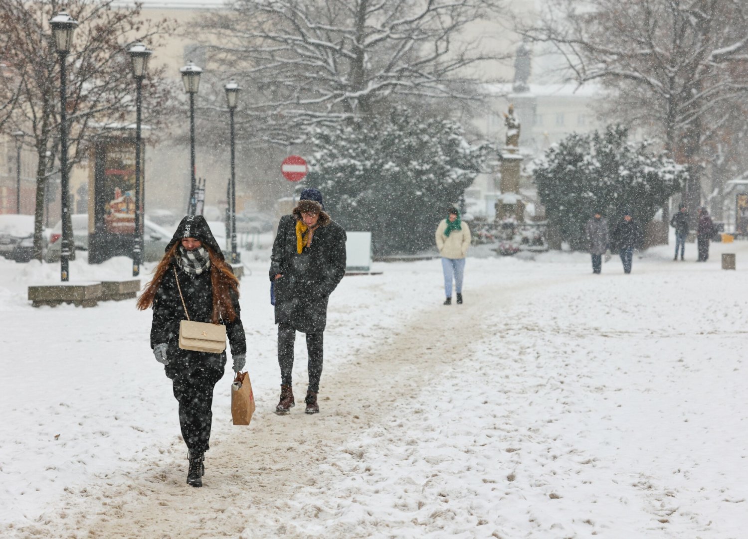 Mróz i śnieg w styczniu w Polsce.