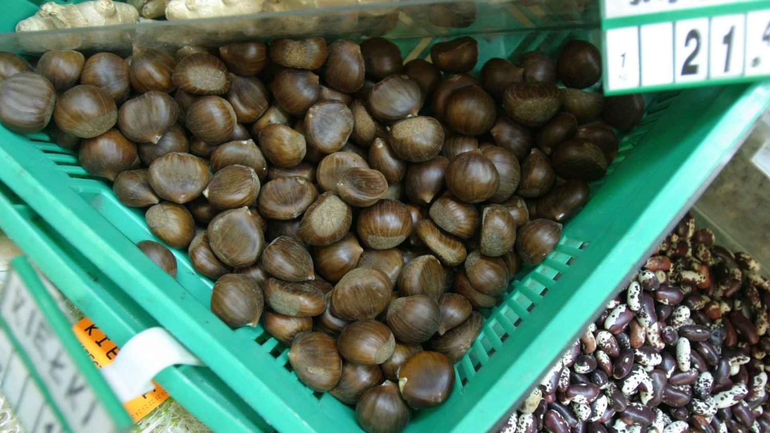 Skup kasztanów.