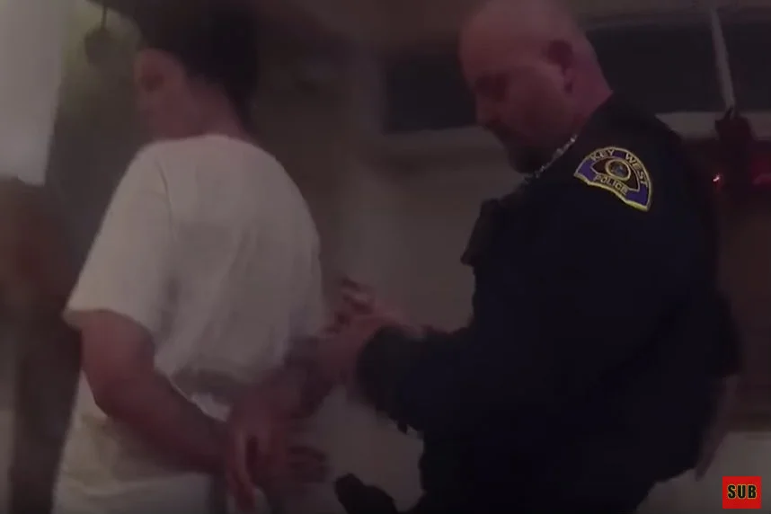 Ilona Felicjańska wraz z mężem Paulem Montaną zostali zatrzymani przez policję w USA. W internecie pojawił się film z tego zdarzenia.