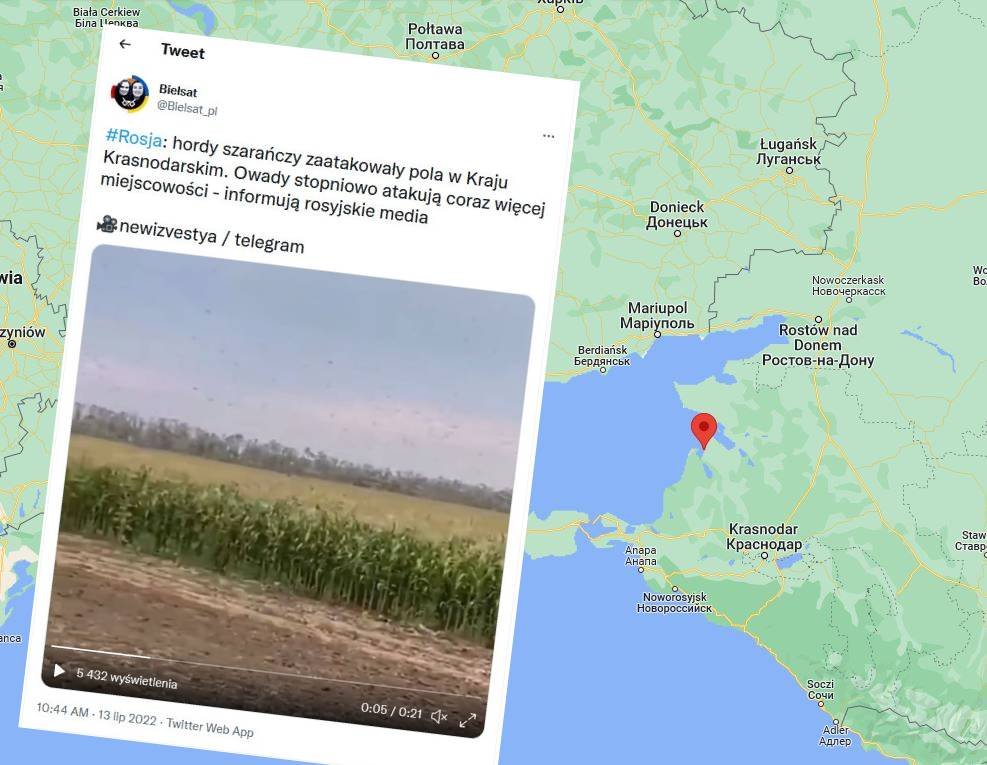 Plaga szarańczy w Rosji