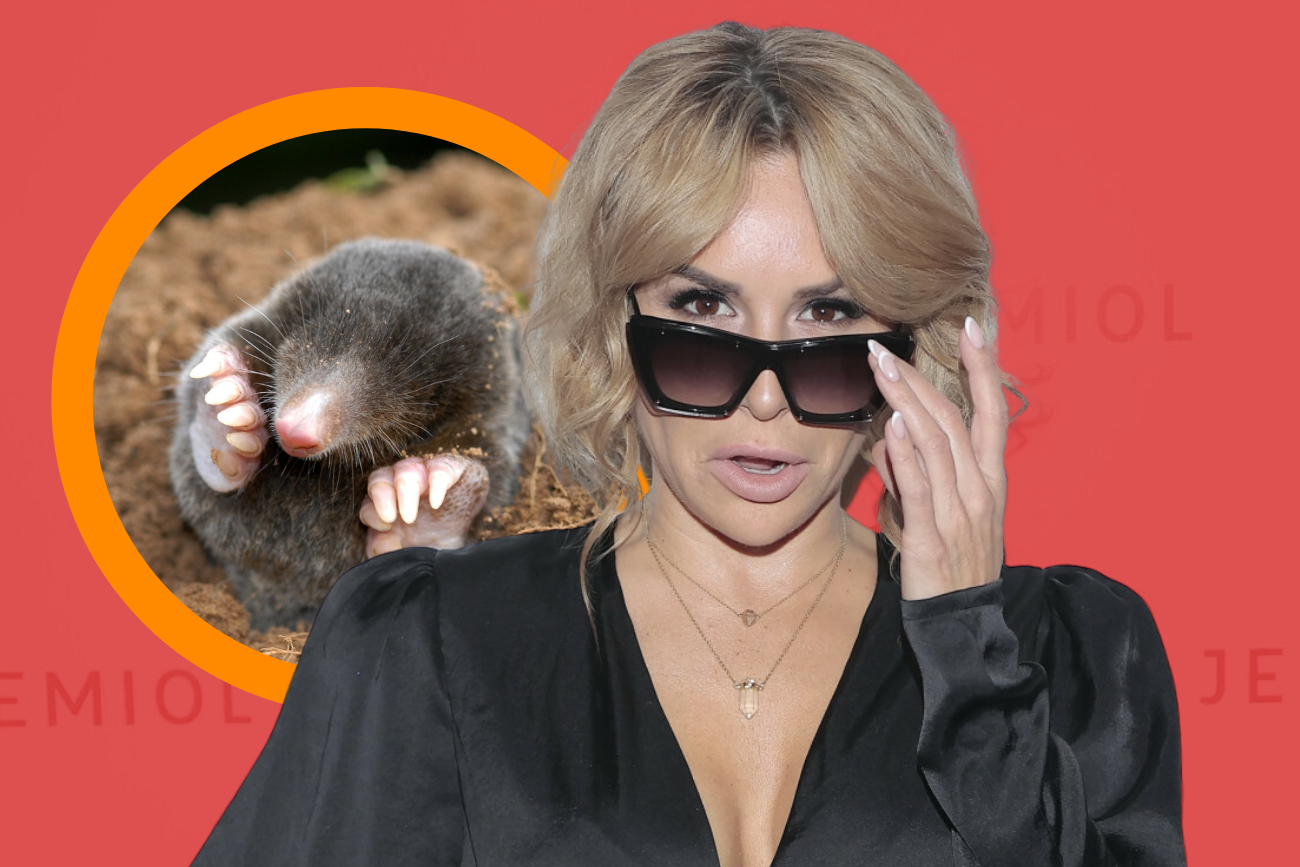 Blanka Lipińska kret Blanka Lipińska kret