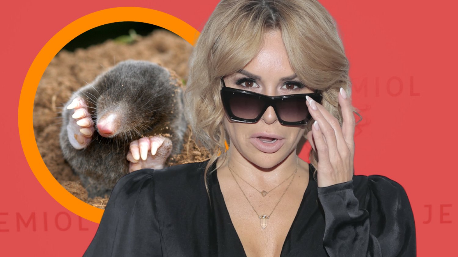 Blanka Lipińska kret Blanka Lipińska kret