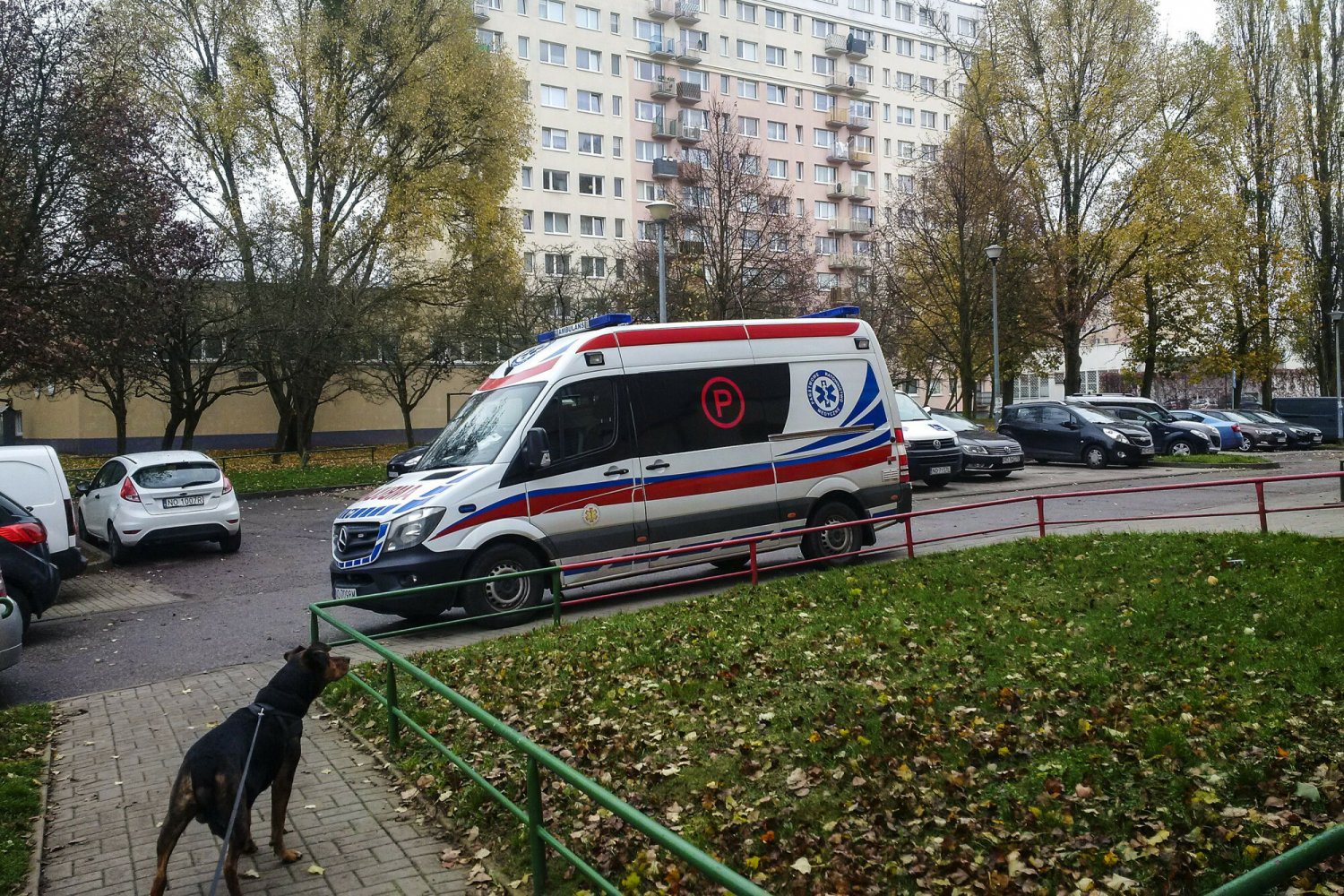 Zdjęcie jest ilustracją do treści.