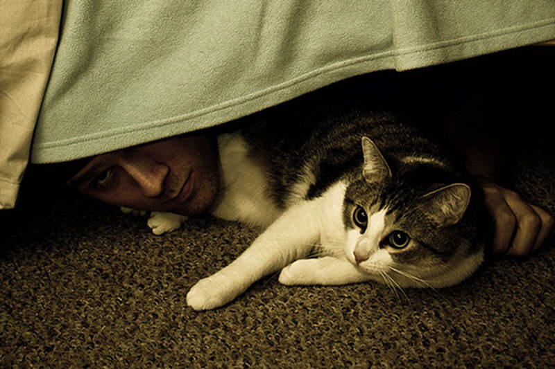 Koty, kobiety i kotlety. Pod łóżkiem można znaleźć wszystko