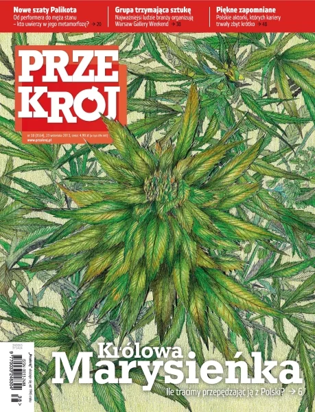 Artykuł opublikowany piewrotnie w Tygodniku Przekrój dn. 23-09-2013