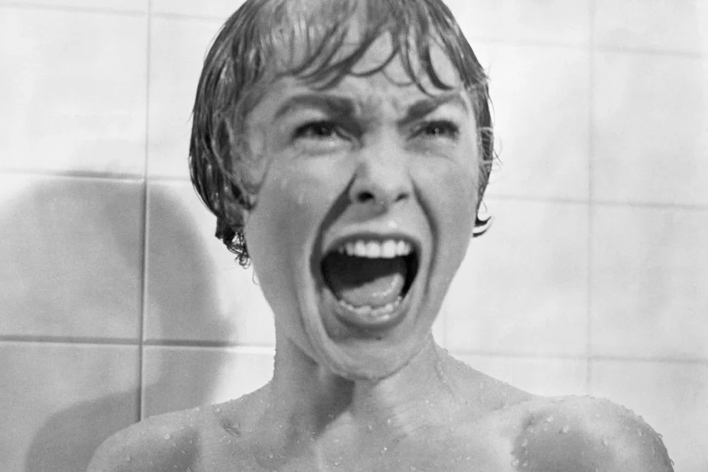 filmy lepsze od książek: "Psychoza" Janet Leigh w "Psychozie"