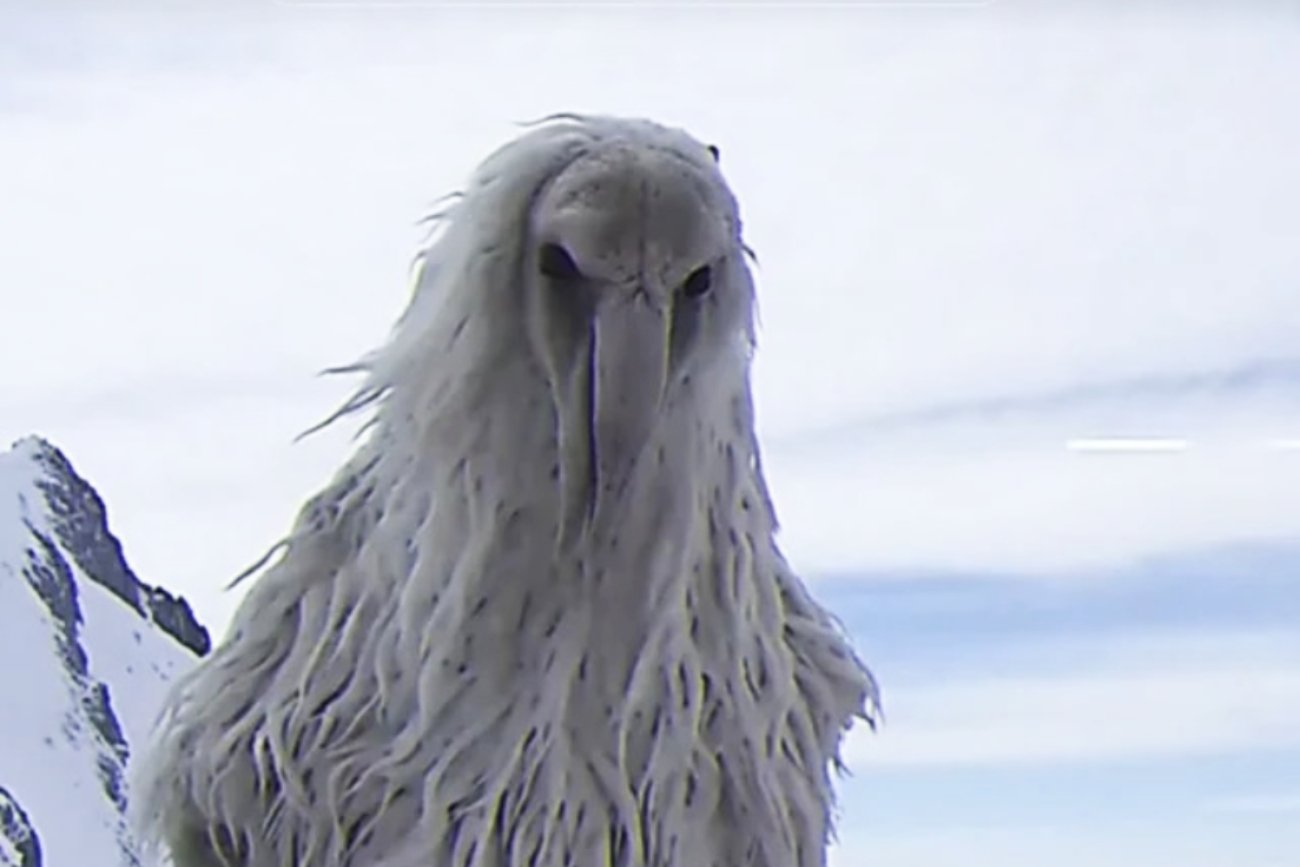 O co chodzi z memem "opium bird"? Ludzie uwierzyli, że to ludożerny ptak z przyszłości.