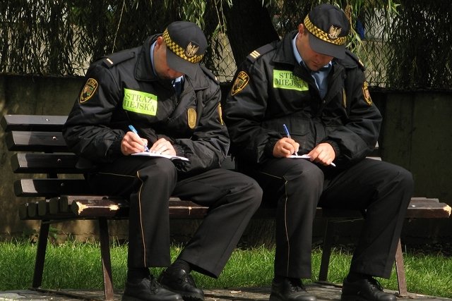 Strażnicy miejscy mieli być prowokowani przez 20-latka.