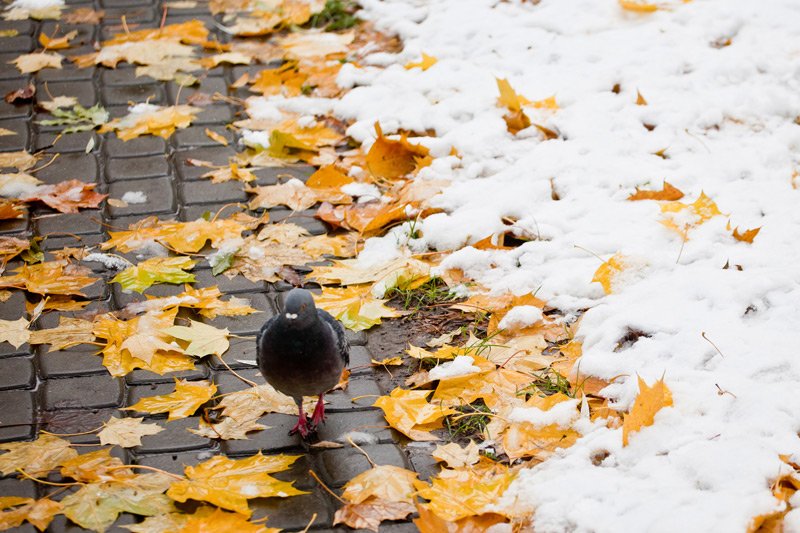 Kiedy zaczyna się jesień w 2018 roku? Jaka będzie pogoda jesienią?